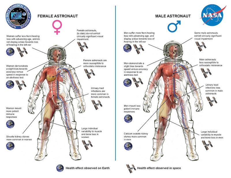 NASA diagram showing some space radiation effects on ISS astronauts