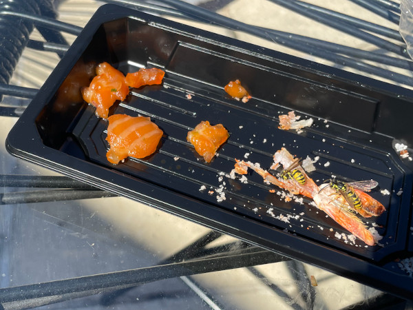 Wasps eating fish left on a plate on a table.